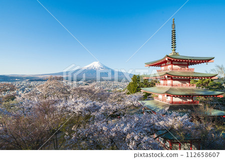Cherry blossoms in full bloom and Mt. Fuji seen from Arakurayama Sengen Park in Yamanashi Prefecture in spring Cherry blossoms in full bloom and Mt. Fuji seen from Arakurayama Sengen Park in Yamanashi Prefecture in spring 112658607