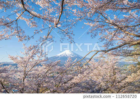 Mt. Fuji in spring seen from Arakurayama Sengen Park in Yamanashi Prefecture 112658720