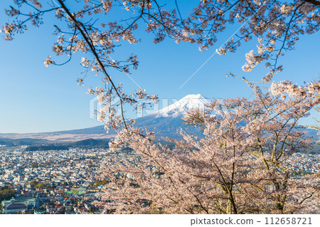 從山梨縣新倉山淺間公園眺望春天的富士山 從山梨縣新倉山淺間公園眺望春天的富士山 112658721