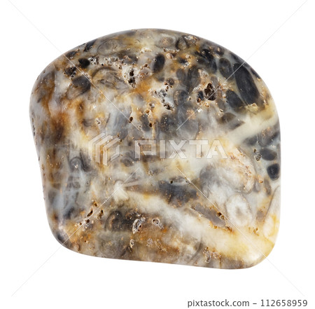 natural tumbled oncolite mineral cutout 112658959