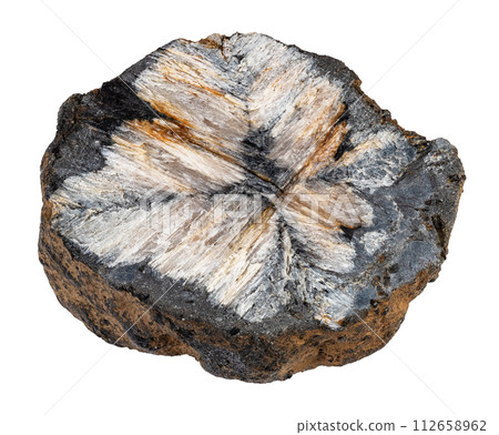 specimen of natural raw chiastolite rock cutout 112658962