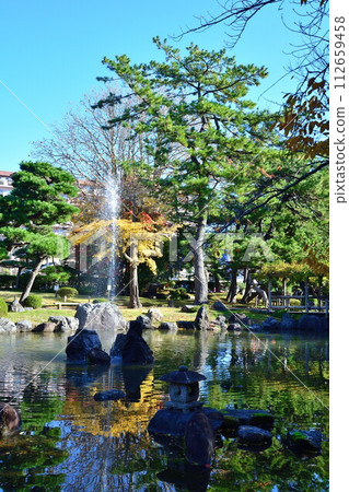 Autumn leaves at Hakusan Shrine (Niigata Prefecture) 112659458