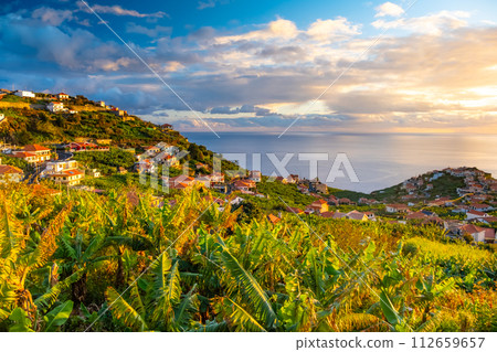 Taditional Madeiran houses in Funchal behind a banana plantation and ocean sunset. 112659657