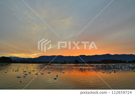 日出時的兵子湖(新潟縣) 日出時的兵子湖(新潟縣) 112659724