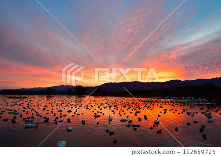 日出時的兵子湖（新潟縣） 112659725