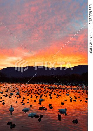 日出時的兵子湖(新潟縣) 日出時的兵子湖(新潟縣) 112659726