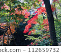 Autumn scenery wrapped in autumn leaves 112659732