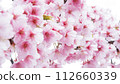 Pink and pastel cherry blossom wallpaper in full bloom 112660339