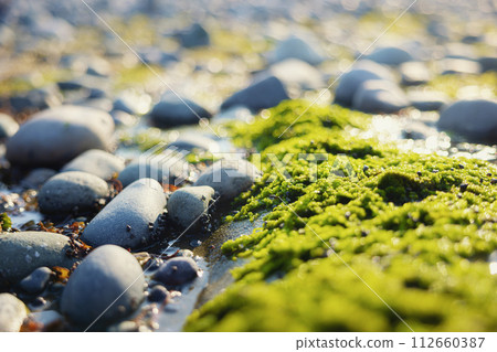 Closeup photo of some pebble stones and moss 112660387