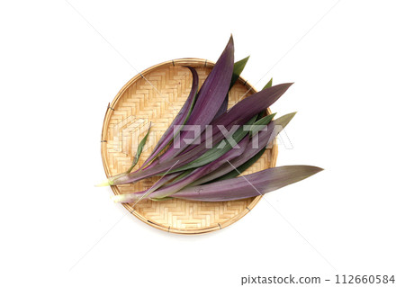 Boat lily, Moses-In-The-Boat , Rheo, Oyster plant. Boat lily, Moses-In-The-Boat , Rheo, Oyster plant. 112660584