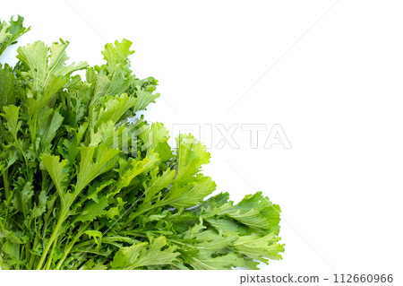Mustard Green on white background. Copy space Mustard Green on white background. Copy space 112660966