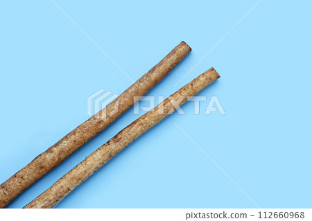 Burdock Root (Gobo) on blue background. 112660968