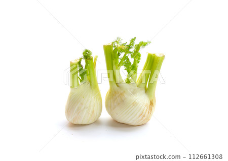 Fresh fennel bulb on white background Fresh fennel bulb on white background 112661308