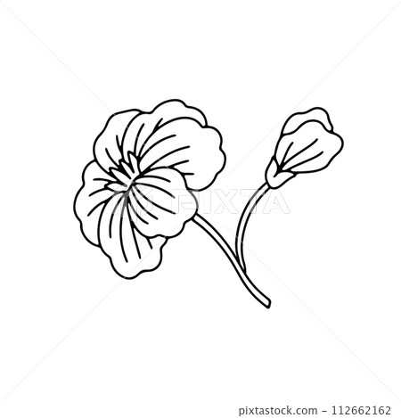 Monochrome black and white floral chinoiserie style flower isolated on white background 112662162