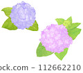 紫色和粉紅色繡球花的插圖 112662210