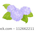 紫色繡球花的插圖 112662211
