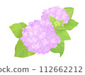 粉紅色的繡球花插圖 112662212