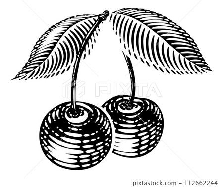 Cherry Berry Fruit Vintage Woodcut Illustration Cherry Berry Fruit Vintage Woodcut Illustration 112662244