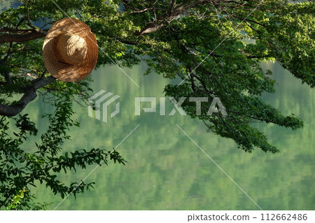 綠色樹蔭和草帽 綠色樹蔭和草帽 112662486