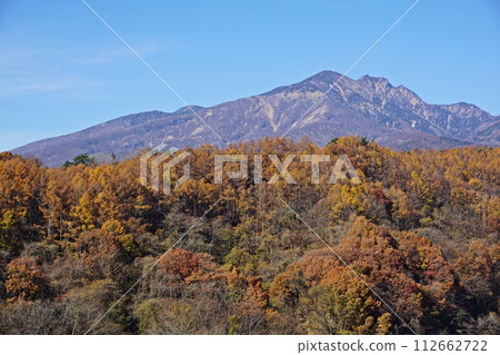 Kiyosato Plateau at its peak of autumn leaves, view from Yatsugatake Kogen Ohashi Bridge Kiyosato Plateau at its peak of autumn leaves, view from Yatsugatake Kogen Ohashi Bridge 112662722
