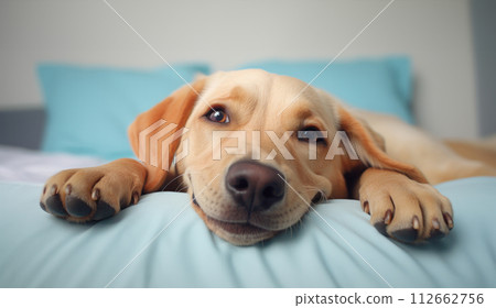 AI-generated content. Dogs on a bed is smiling, close-up, humorous 112662756