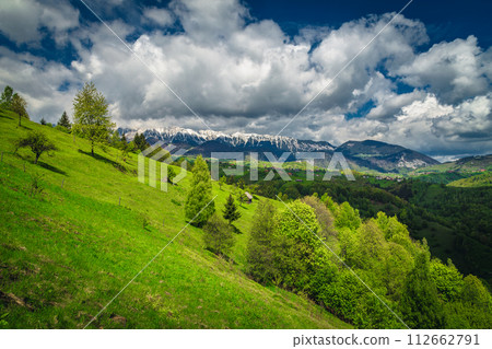 Early summer landscape with snowy mountains and green forest, Romania 112662791