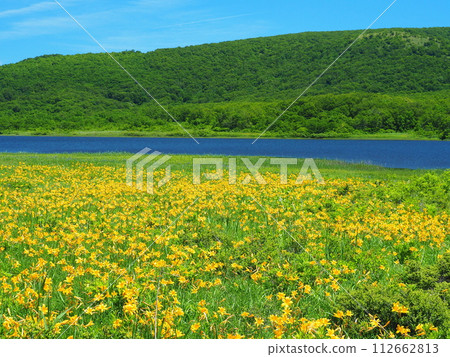 Oununuma的Nikko Kishge 112662813