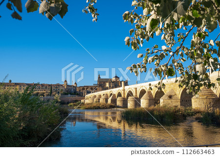 Roman bridge in Cordoba, Spain 112663463