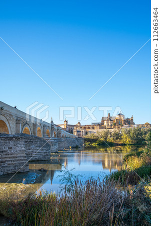 科爾多瓦的西班牙橋和清真寺 112663464