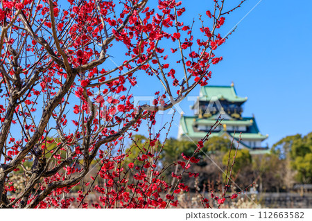 Osaka Castle Plum Grove Crown of Honor and Osaka Castle Tower February 9, 2024 112663582