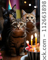 Cats sitting in front of a cake. They're celebrating a birthday 112663898