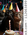 Cats sitting in front of a cake. They're celebrating a birthday 112663899