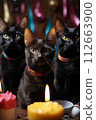 Cats sitting in front of a cake. They're celebrating a birthday 112663900