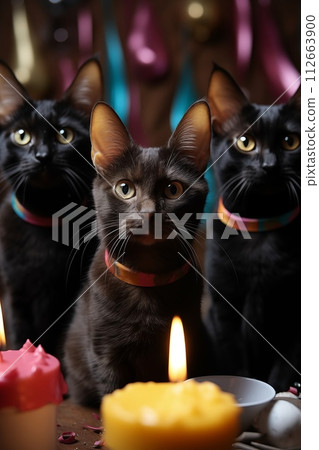 Cats sitting in front of a cake. They're celebrating a birthday 112663900