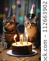 Cats sitting in front of a cake. They're celebrating a birthday 112663902