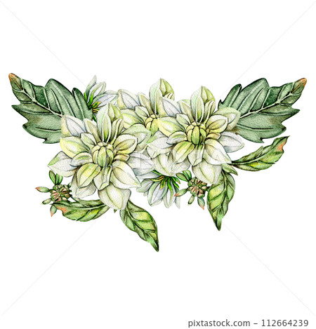 Watercolor white dahlia composition. Hand drawn illustration or a summer garden. Design for baby shower party, birthday, cake, holiday celebration design, greetings card,invitation. 112664239