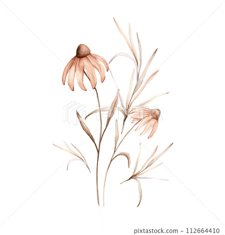 Watercolor bouquet botanical autumn illustration echinacea branches flowers and herbs. Autumn floral illustration. Hand painted drawing isolated on white background. Floral composition pastel color 112664410