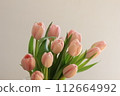 粉紅色的鬱金香 112664992