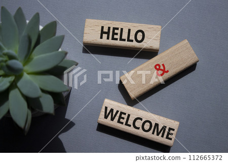 Hello and Welcome symbol. Concept words Hello and Welcome on wooden blocks. Beautiful grey background with succulent plant. Business and Hello and Welcome concept. Copy space. 112665372