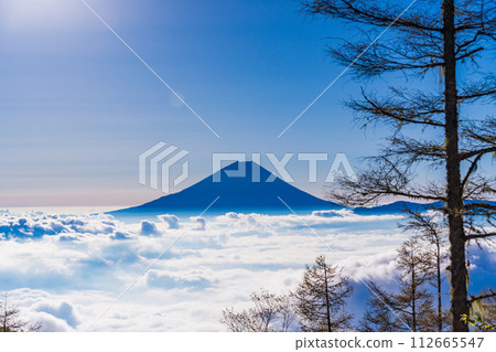 (Yamanashi Prefecture) Mt. Fuji floating in a sea of clouds seen from the mountain trail of Mt. Kushigata 112665547