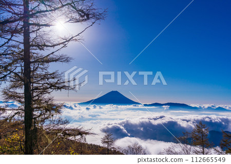(Yamanashi Prefecture) Mt. Fuji floating in a sea of clouds seen from the mountain trail of Mt. Kushigata 112665549