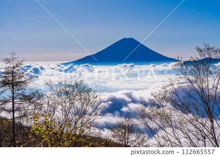 (Yamanashi Prefecture) Mt. Fuji floating in a sea of clouds seen from the mountain trail of Mt. Kushigata 112665557