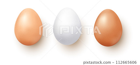 Set vector realistic of three chicken eggs Set vector realistic of three chicken eggs 112665606