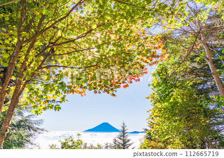 (Yamanashi Prefecture) Mt. Fuji through the autumn leaves of Mt. Kushigata (Yamanashi Prefecture) Mt. Fuji through the autumn leaves of Mt. Kushigata 112665719