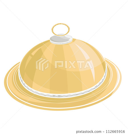 tray with Dish Food Cover 112665916