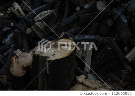 如何將樹砍成木柴的大小 112665993