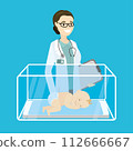 Caucasian female pediatrician doctor little newborn baby, 112666667