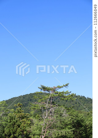Refreshing blue sky and fresh green mountains Refreshing blue sky and fresh green mountains 112666849