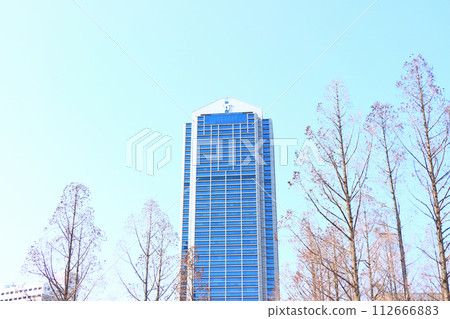 兵庫縣神戶市神戶市政廳風景 112666883