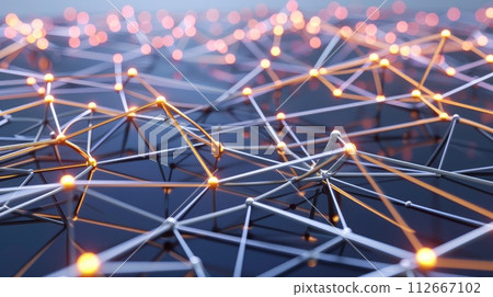 Network connection structure. 112667102